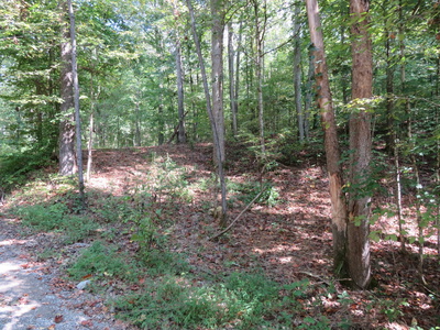 0 BUGG HOLLOW RD