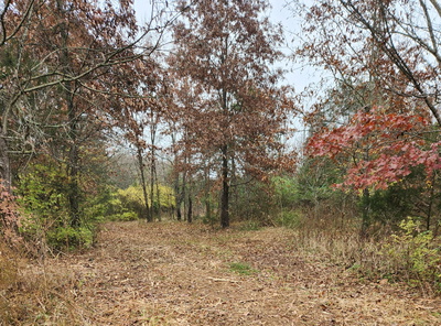 4230 Peytonsville Trinity Rd