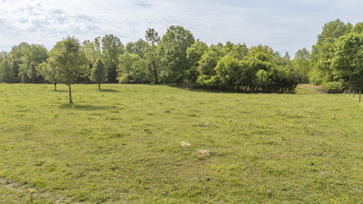 175 Chickasaw Cv