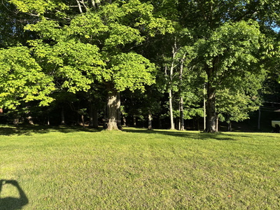 17 Edmondson Ferry Road