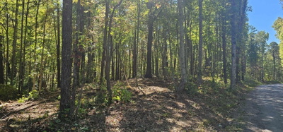 208 Old Furnace Road