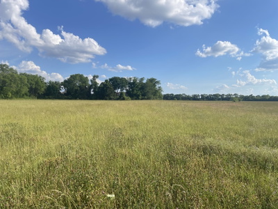 4447 Manson Pike