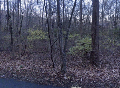 3978 Dry Fork Rd