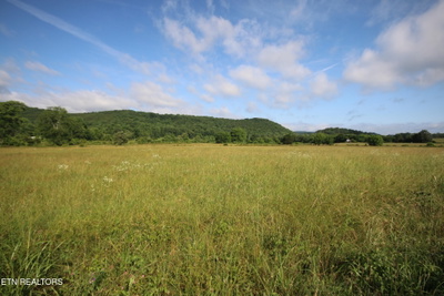 Exterior view of 110 Bivens Rd. in Tellico Plains, TN