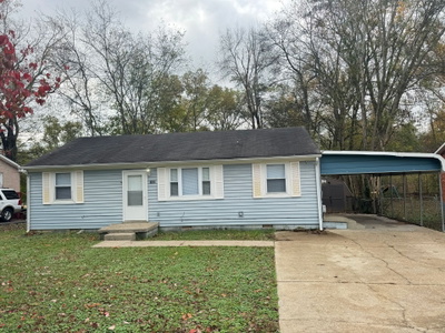 1558 Cherry Tree