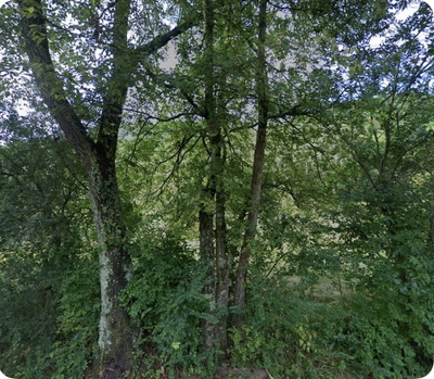 5034 Seymour Hollow Rd
