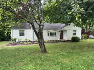 3351 Mimosa Dr