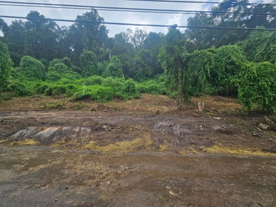 0 Old Jasper Road