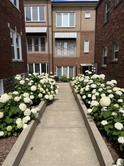 2003 Convent Pl