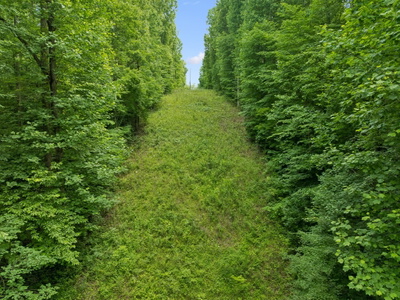 0 Davis Hollow Rd