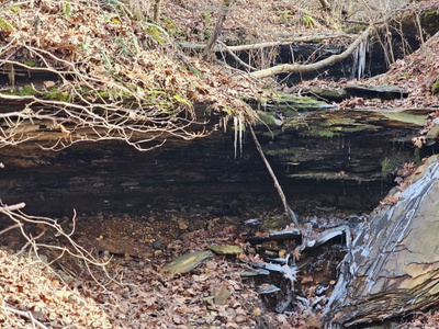 0 Davis Hollow Rd