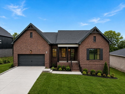 1006 Tiane Trail
