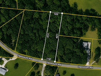 291 Opossum Rd