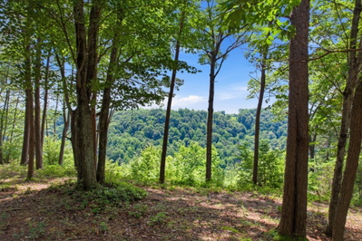 321 Timberwood Trce
