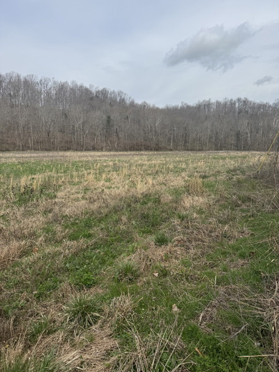 1234 Puncheon Creek Road