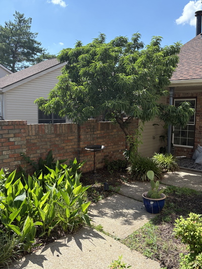 404 Laurel Hill Dr