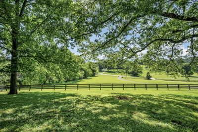 1204 Madison Creek Rd