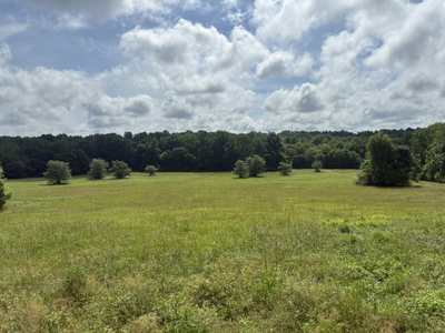 8033 Roberson Cemetery Rd