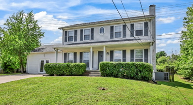 1025 Dandelion Dr