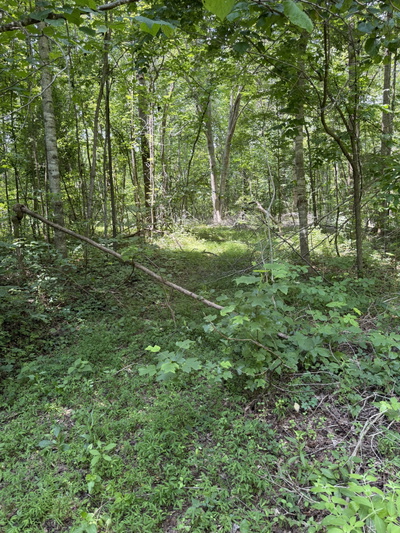 0 Wilderness Lane