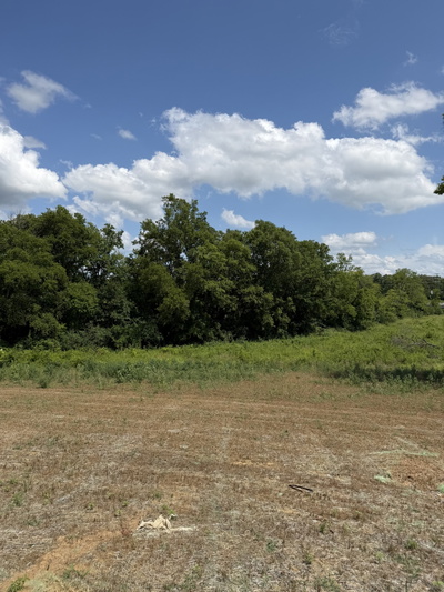 1136 Old Creek Bend
