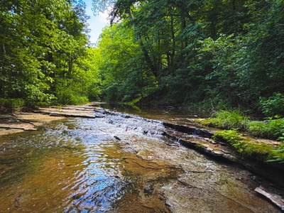 5 N Lick Creek Rd