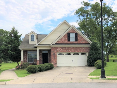 247 Dobson Branch Ct