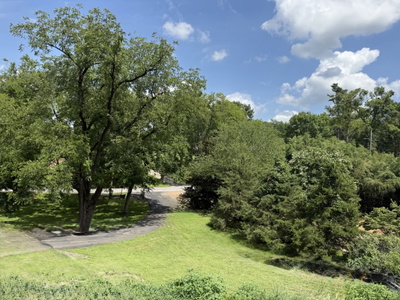 4119 Moss Rose Dr