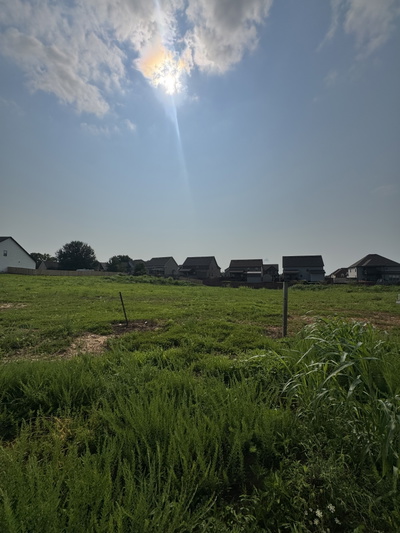 251 Autumnwood Farms