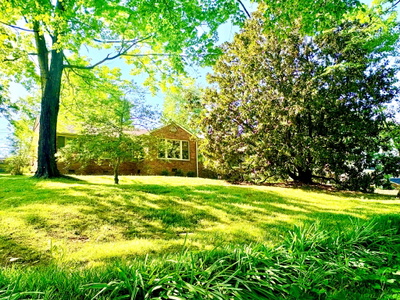 208 Trahern Ln