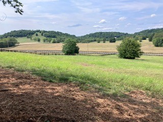 3076 Carters Creek Pk