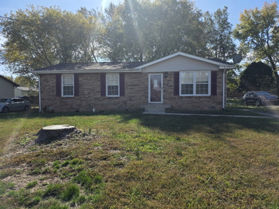 386 Elaine Dr