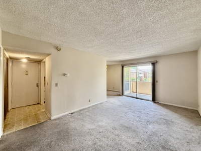 515 Basswood Ave