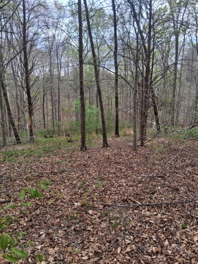 0 W GARRETS CREEK RD