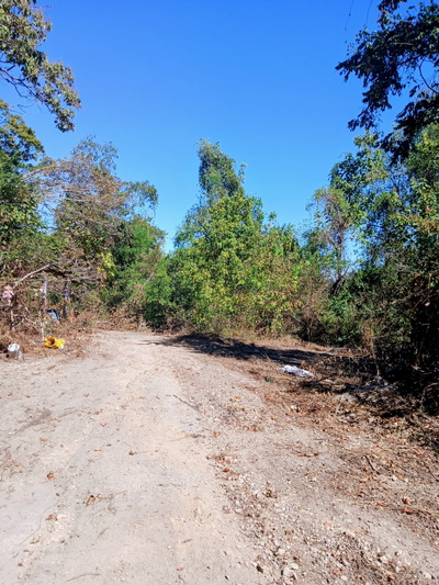 8707 Highway 100