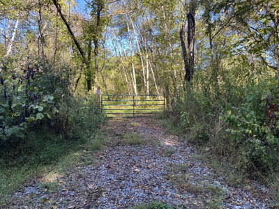 665 Bugg Hollow Rd