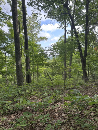 220 Selah Pvt Path
