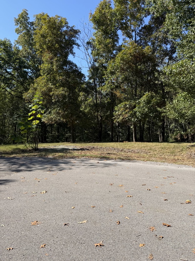 7018 Lama Terra Ct