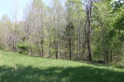 820 New Rd