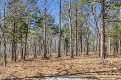 0 Cobbler Ridge Road